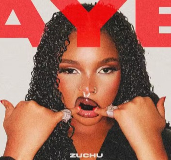 DOWNLOAD MP3 Zuchu - Aye